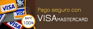 banner 02 320x100 visa card