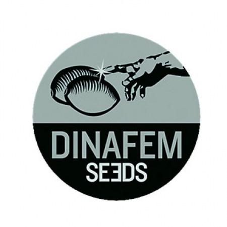 DInafem Seeds logo
