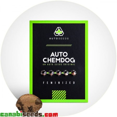 Auto Chemdog