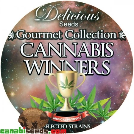 Gourmet Collection - Cannabis Winner Strains 1#