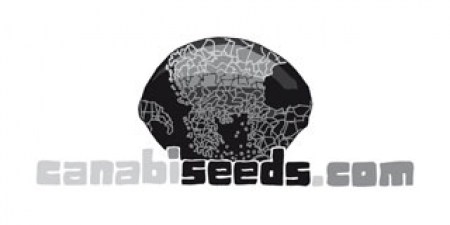 Canabiseeds Quality Cannabis Seeds